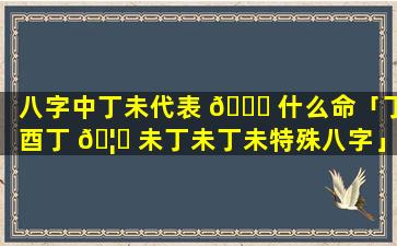 八字中丁未代表 🐈 什么命「丁酉丁 🦁 未丁未丁未特殊八字」